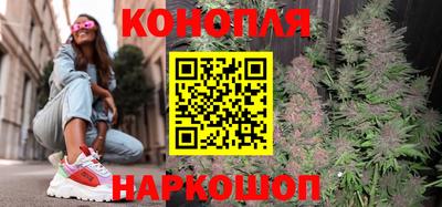 молекула духа Камышлов