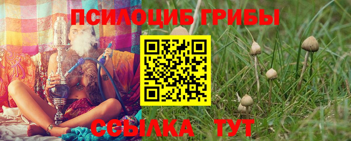 Майский  что такое наркотик  Псилоцибиновые грибы Psilocybine cubensis  Вход с VPN  Псилоцибиновые грибы MAGIC MUSHROOMS 