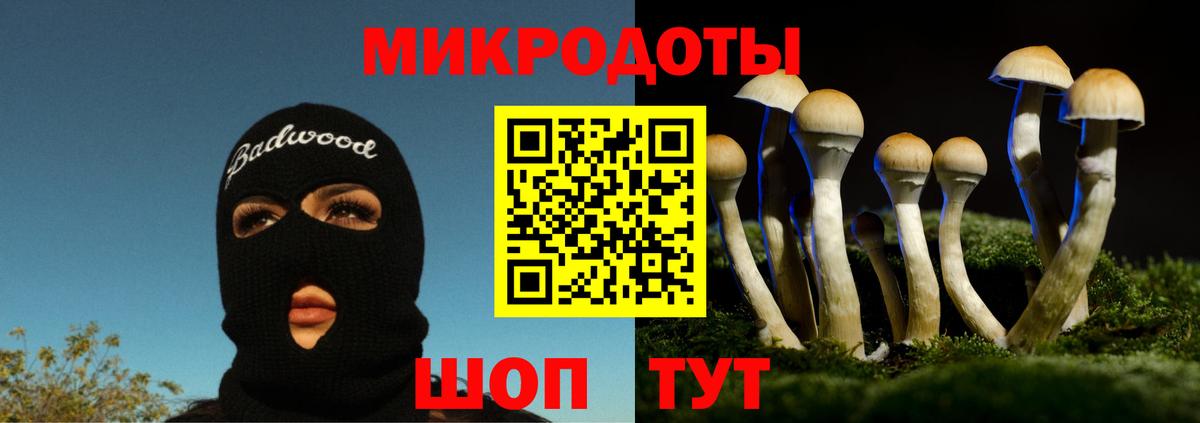 Галлюциногенные грибы Psilocybine cubensis Майский