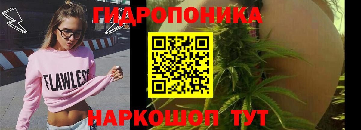 Бошки Шишки White Widow  Вход с VPN  Марихуана гибрид  Конопля конопля  Майский 